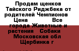 Продам щенков Тайского Риджбека от родителей Чемпионов › Цена ­ 30 000 - Все города Животные и растения » Собаки   . Московская обл.,Щербинка г.